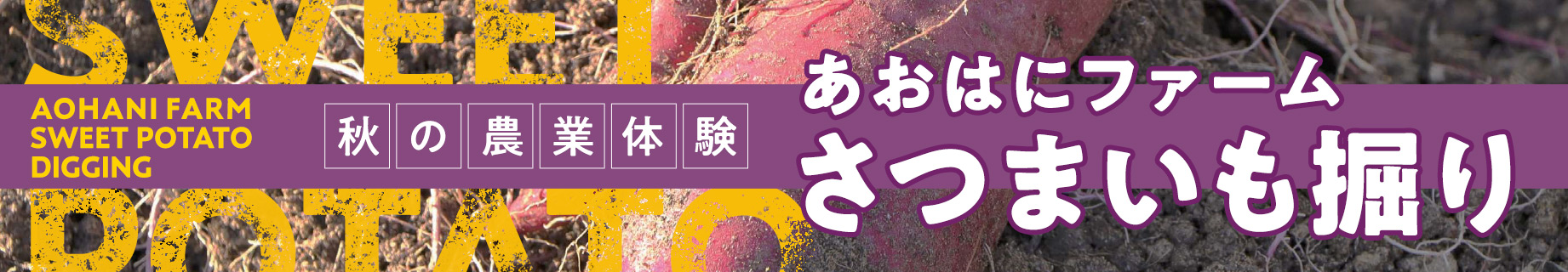 あおはにファーム ブルーベリー狩り
